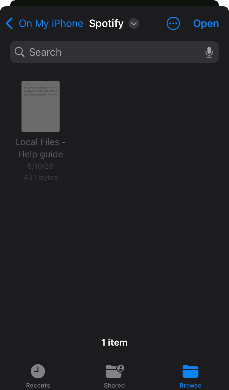 Screenshot of iOS Spotify download folder settings
